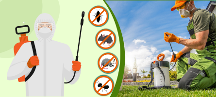 Emergency Pest Control Wallan